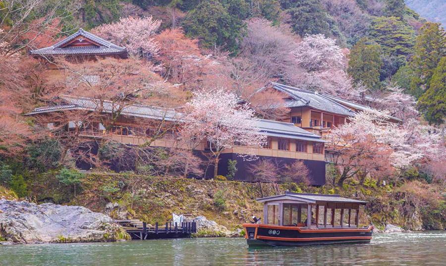 Η ανοιξιάτικη γοητεία των δέντρων sakura στο Hoshinoya Kyoto