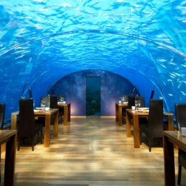 Ithaa Undersea Restaurant Rangali Island, Μαλδίβες