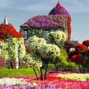 Dubai Miracle Garden: Ο κήπος των θαυμάτων!