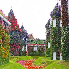 Dubai Miracle Garden: Ο κήπος των θαυμάτων!