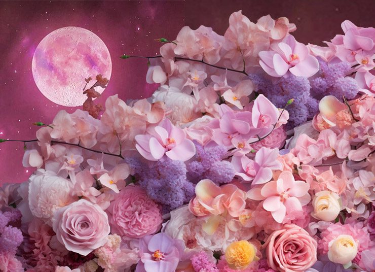 Το απίστευτο «λουλουδάτο φεγγάρι» του Μαΐου φέρνει τα ζώδια σε συναισθηματική υπερένταση