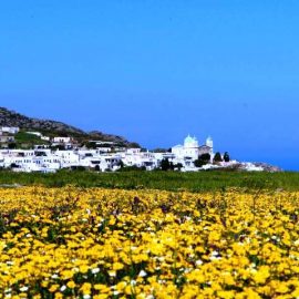 Το χωριό Φαλατάδος με ανοιξιάτικο φόντο