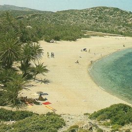 Το μοναδικό Βάι, στο Φυσικό Πάρκο Σητείας